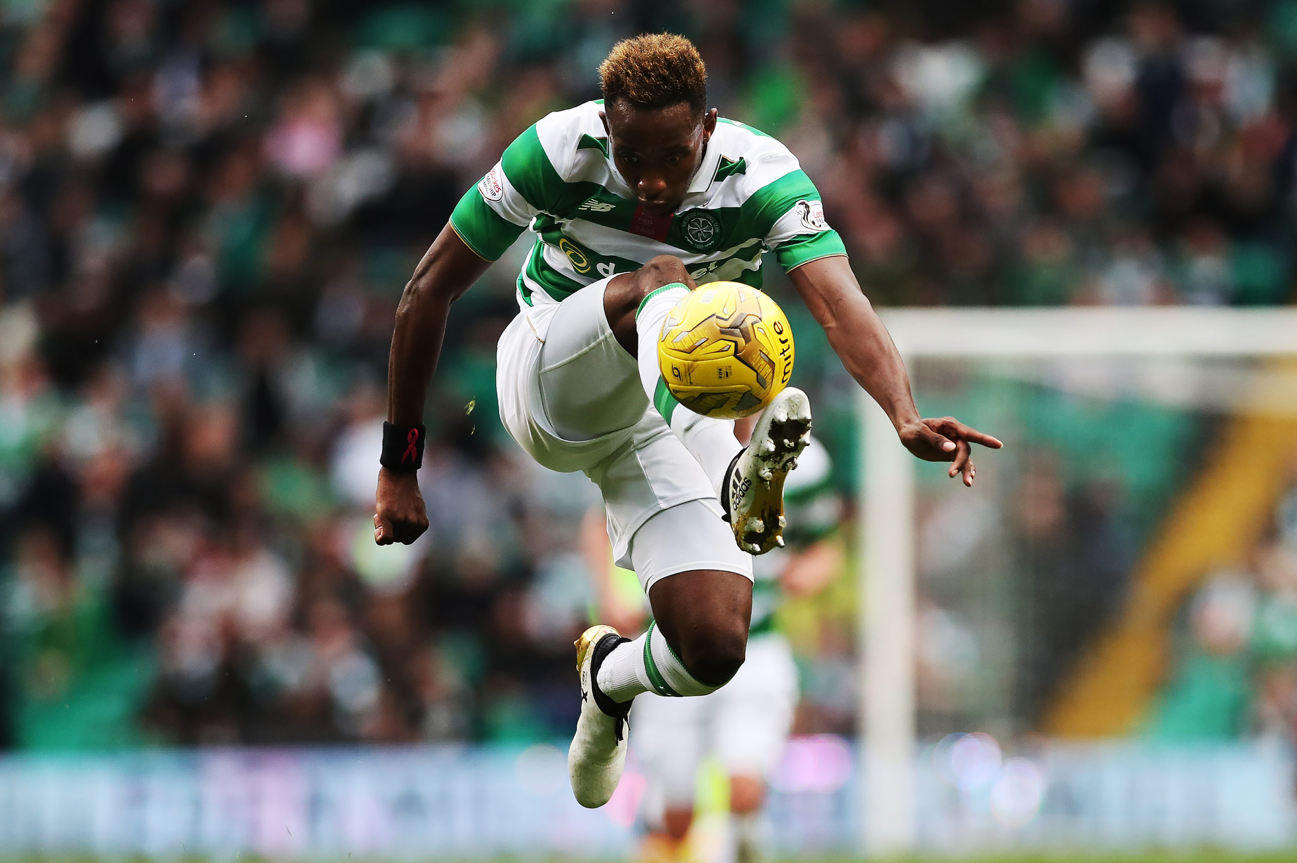 Celtic David Webb