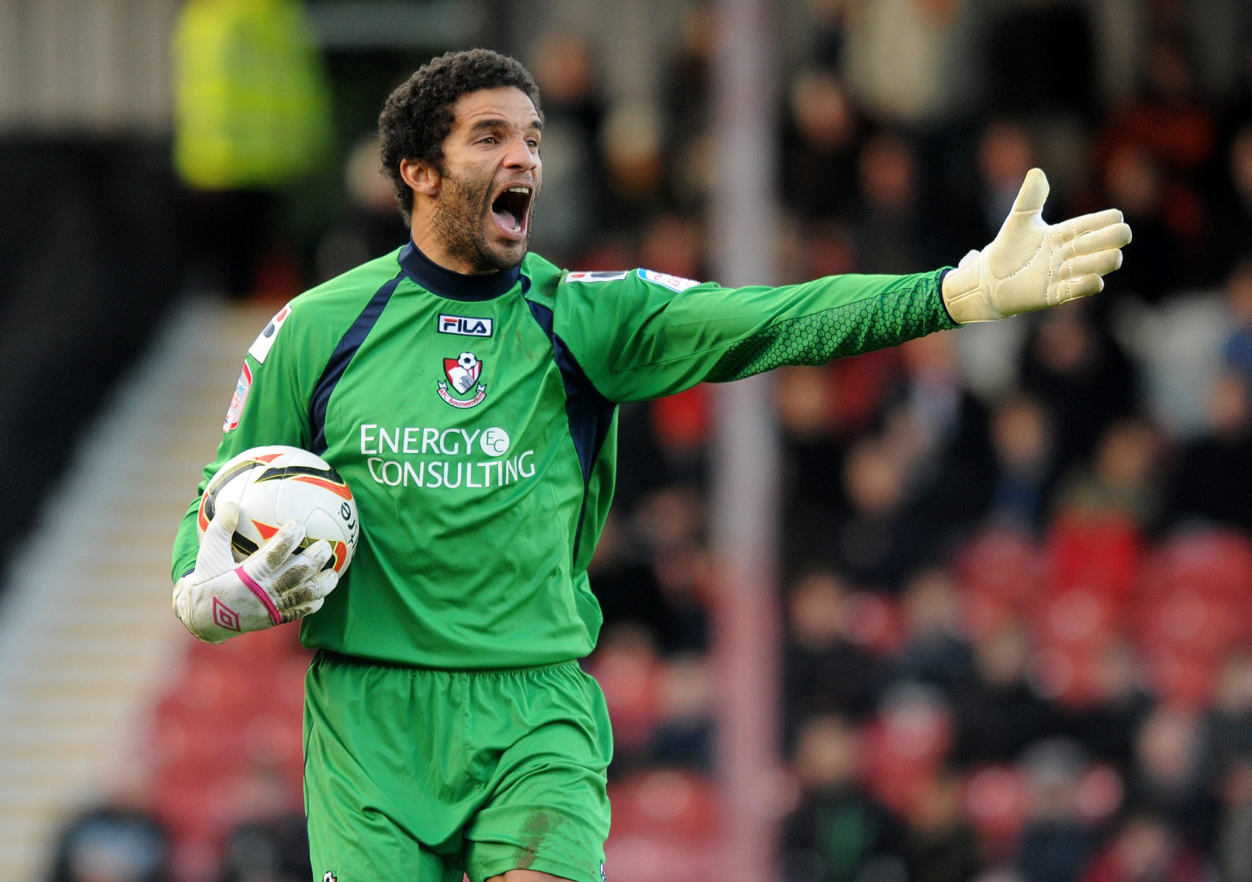 David James in action for Bournemouth
