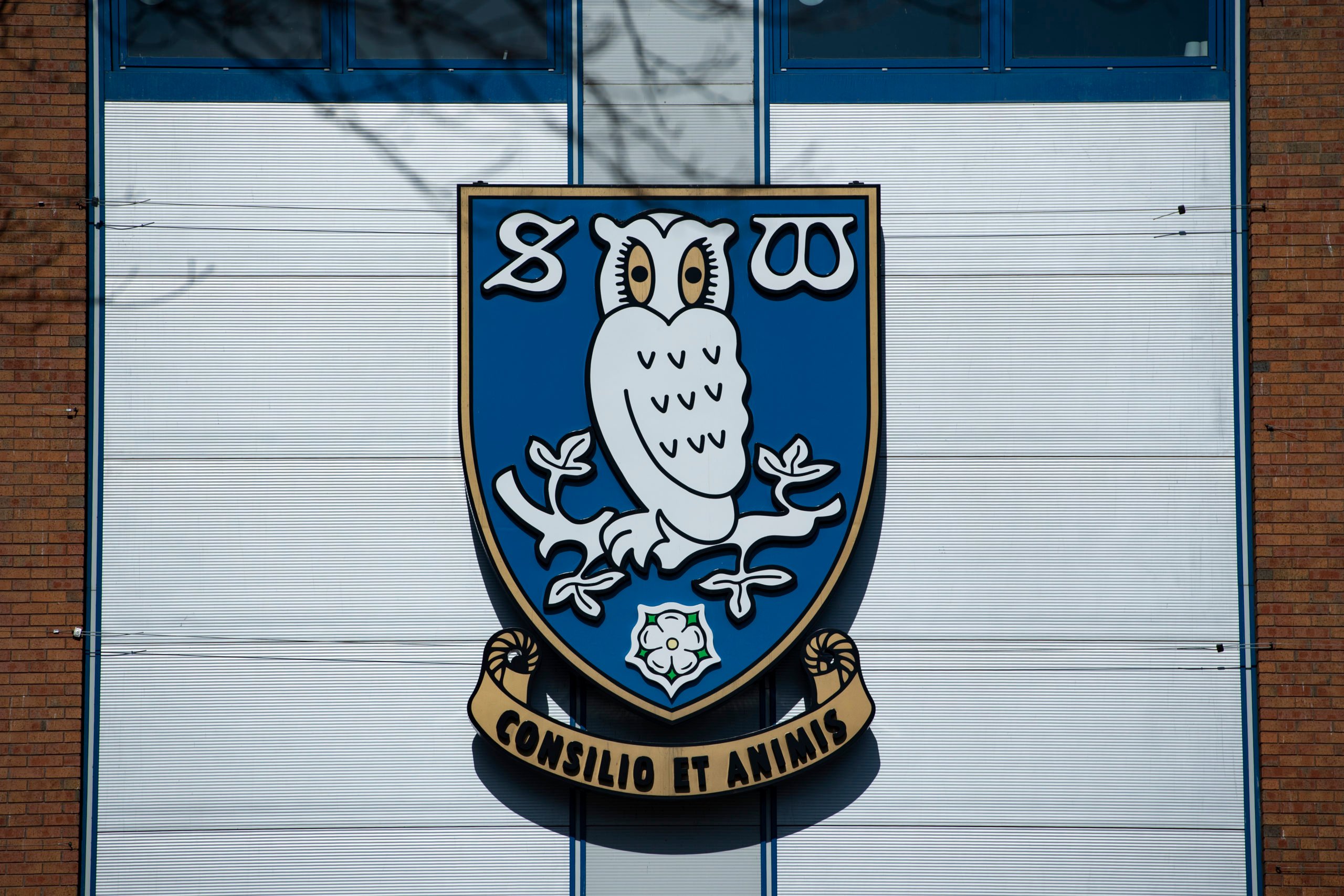 Report: Sheffield Wednesday could face Celtic during pre-season training camp