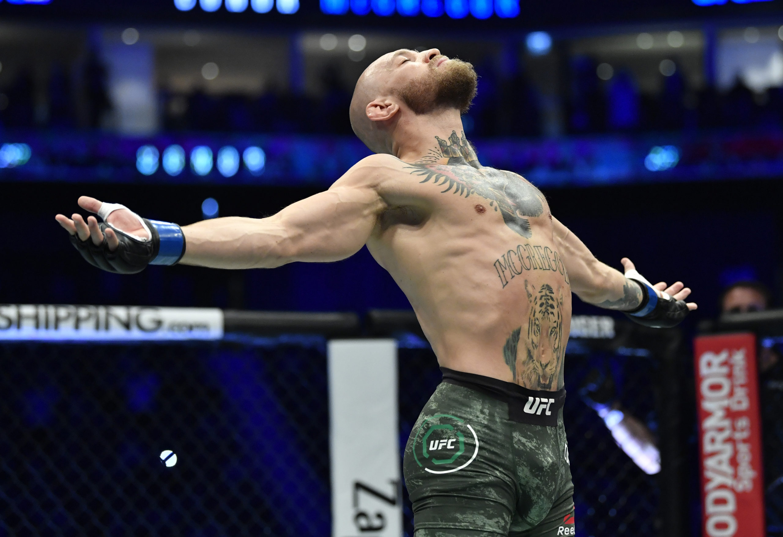 Conor McGregor was interested in purchasing shares in Celtic
