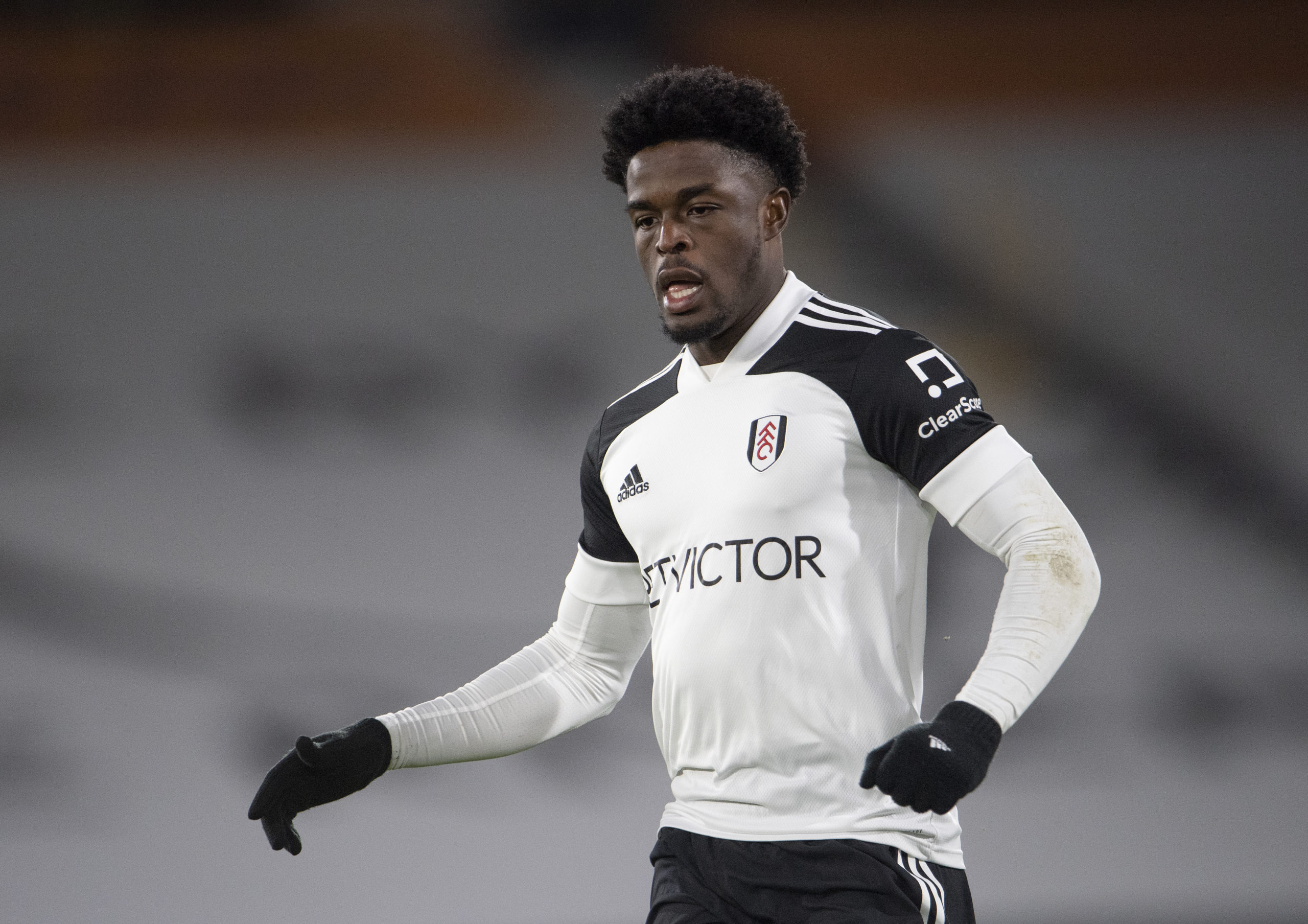 Josh Maja on loan at Fulham