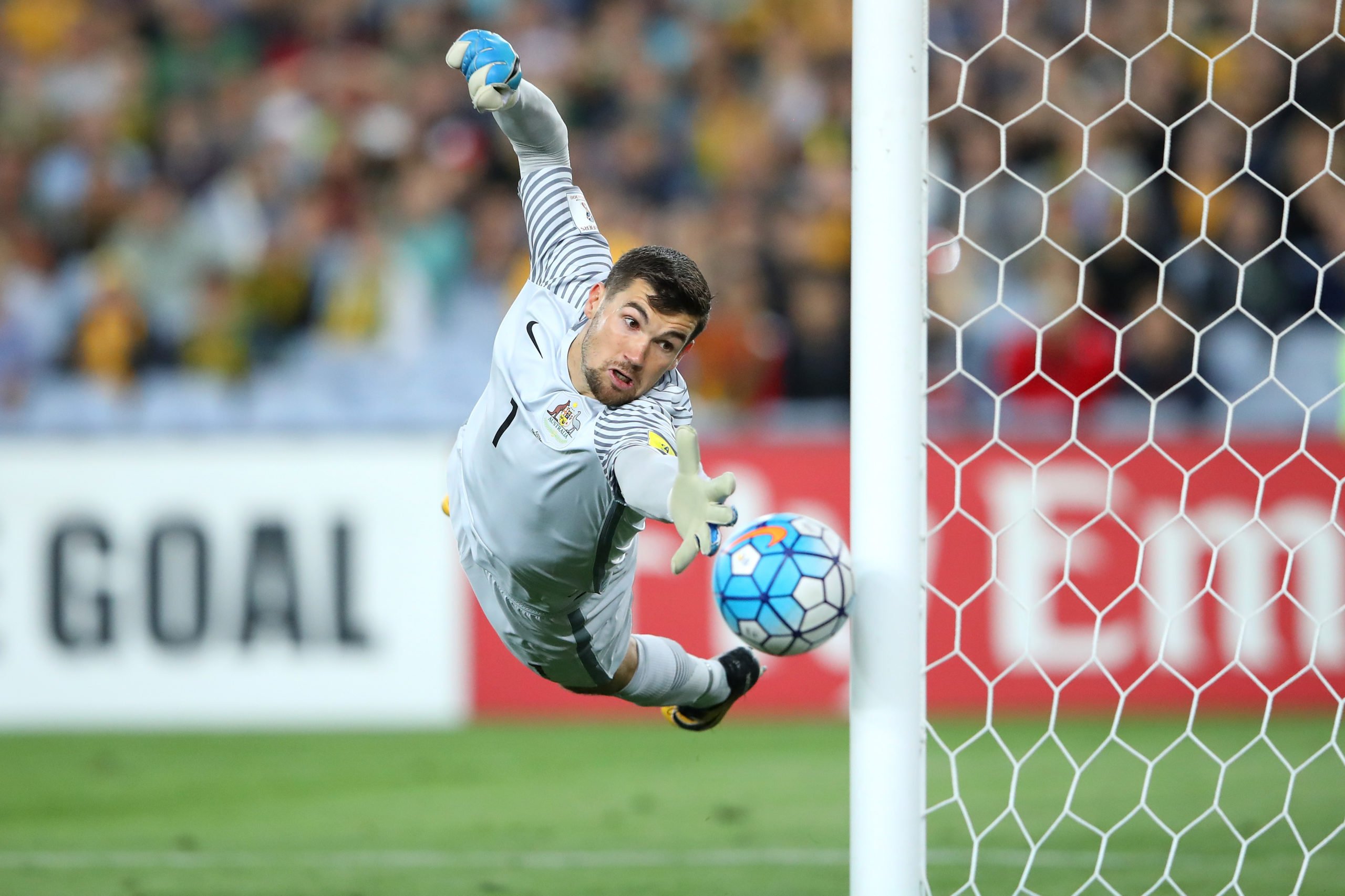 Mat Ryan has opened the door for Celtic; Postecoglou should be all over it