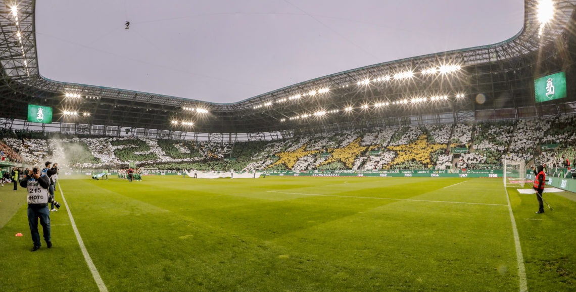 Ferencváros Fans 