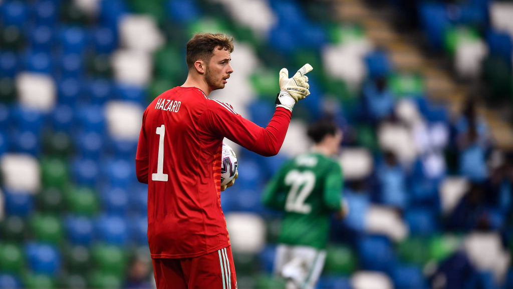 Northern Ireland v USA - International Friendly