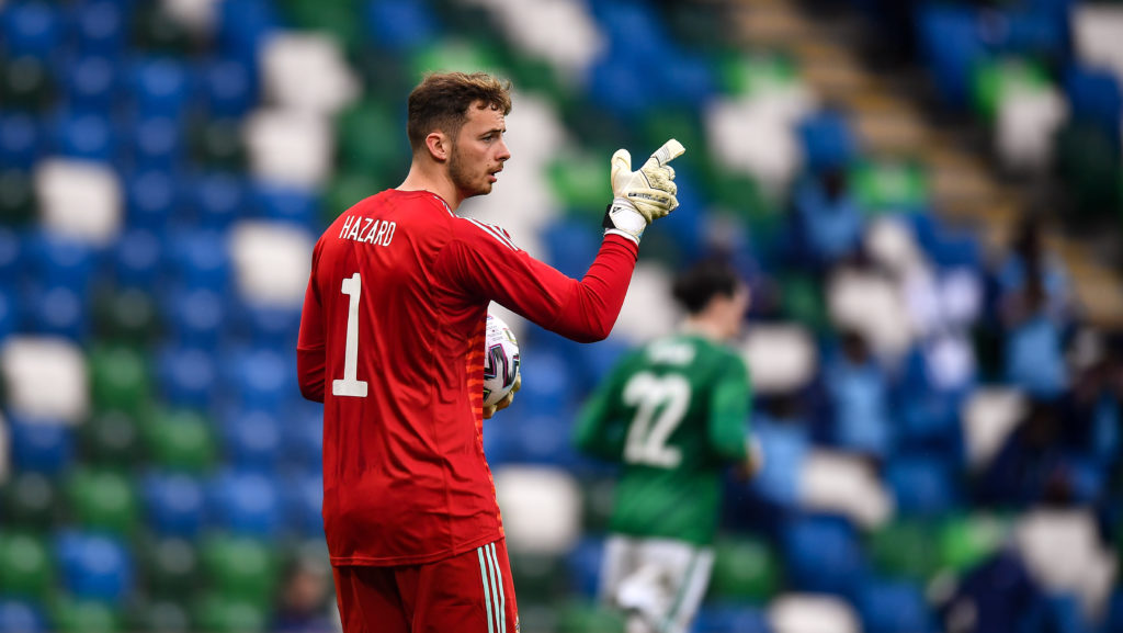 Northern Ireland v USA - International Friendly