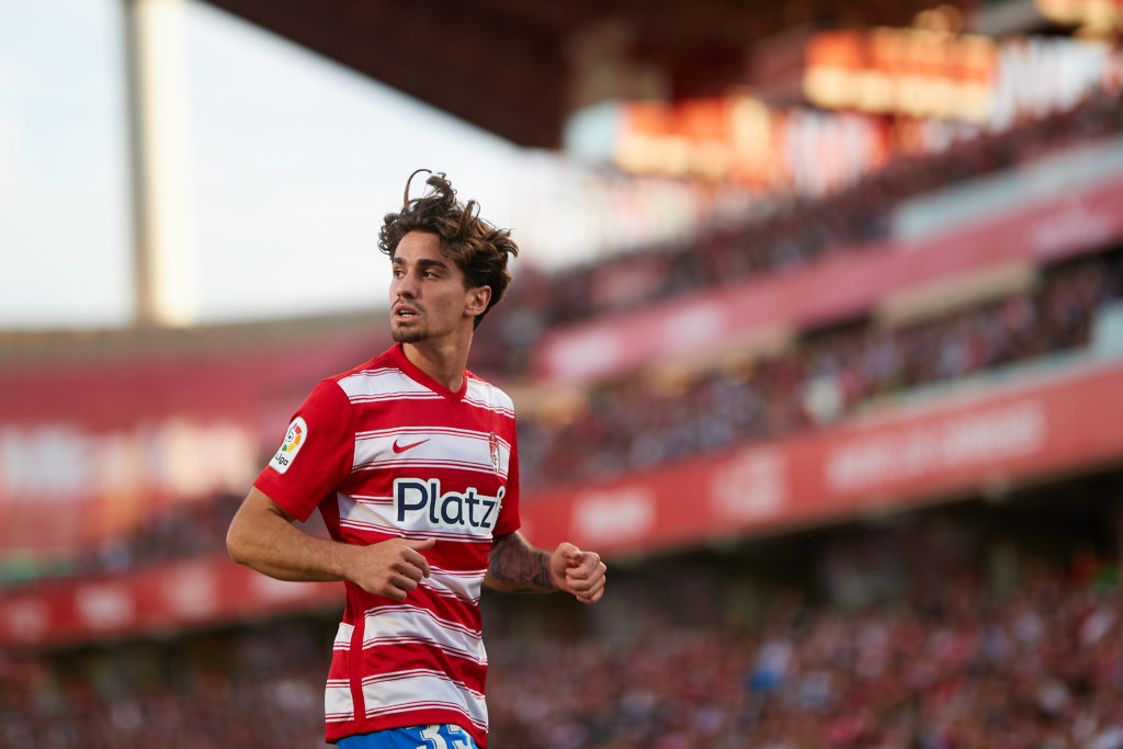 Granada CF v RCD Espanyol - La Liga Santander
