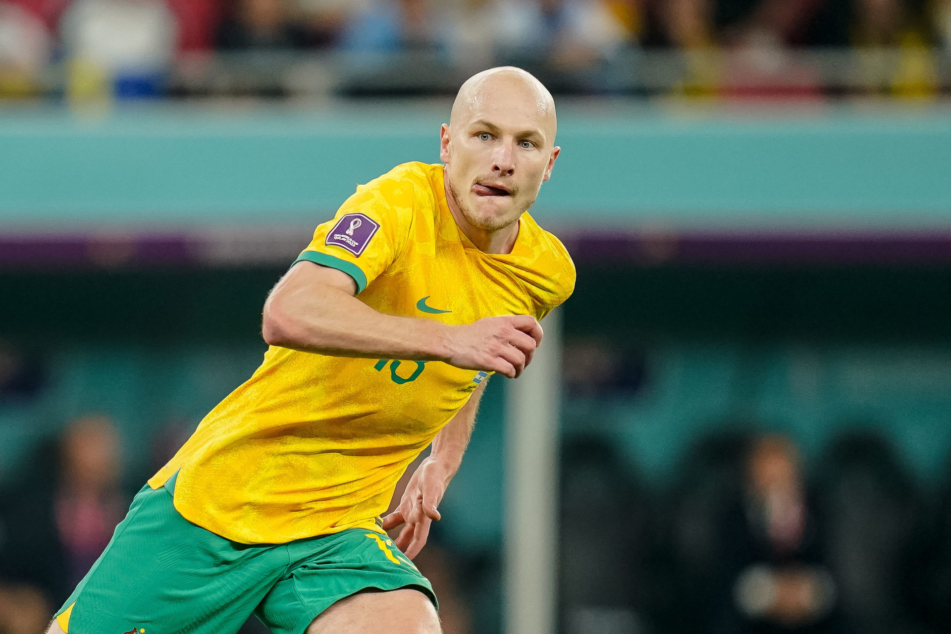 Aaron Mooy is one of Celtic's many international talents
