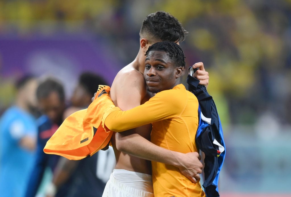 Netherlands v Ecuador: Group A - FIFA World Cup Qatar 2022