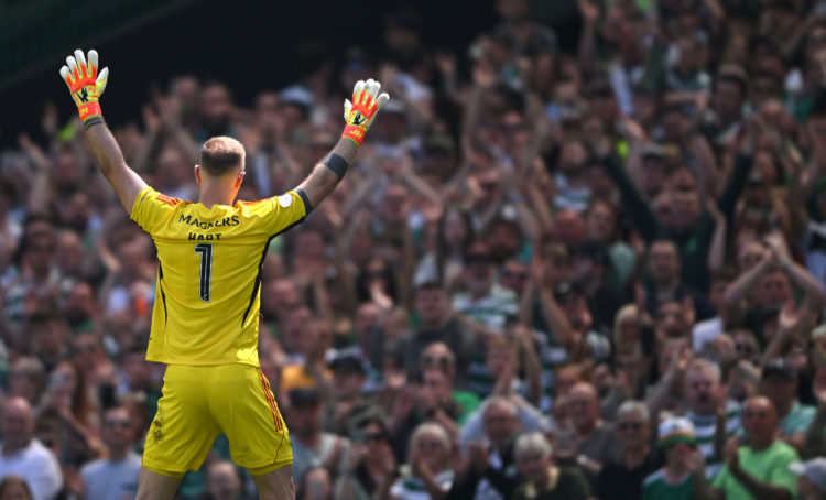 Photo by Stu Forster/Getty Images