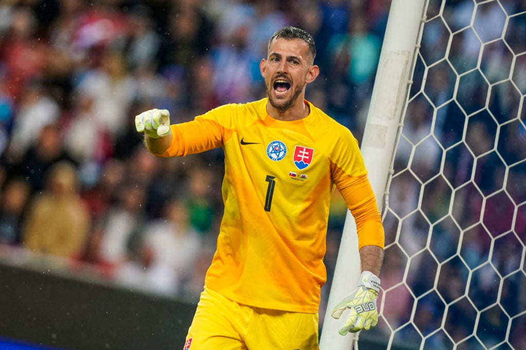 Celtic target Martin Dubravka shows his credentials in impressive EURO ...