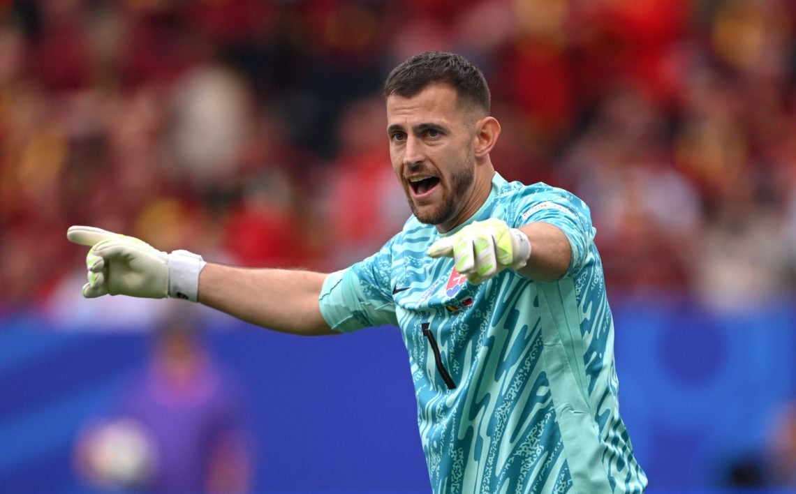 Celtic target Martin Dubravka shows his credentials in impressive EURO 2024  display