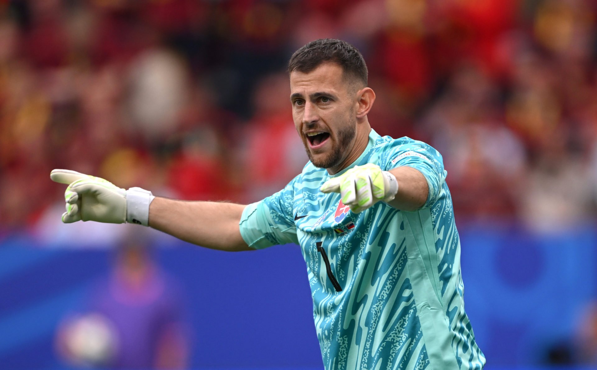 Martin Dubravka underpins Celtic links as Slovakia reach Euro 2024 ...