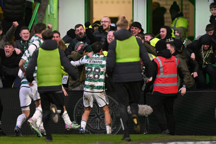 Photo by Stu Forster/Getty Images