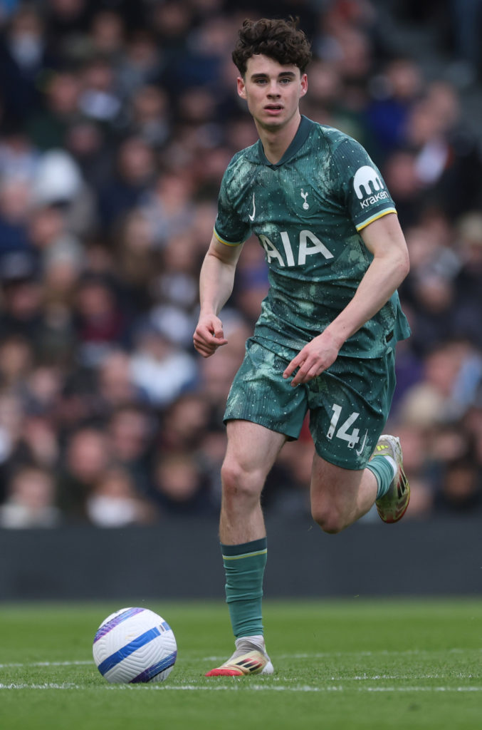 Fulham FC v Tottenham Hotspur FC - Premier League