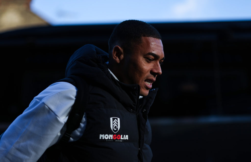 Fulham FC v Southampton FC - Premier League