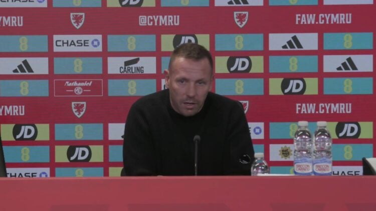 Wales boss Craig Bellamy